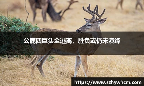 江南体育官网