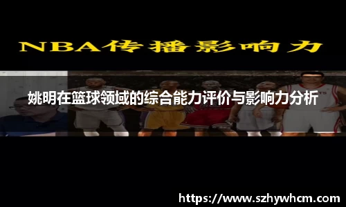 姚明在篮球领域的综合能力评价与影响力分析