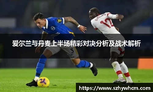 爱尔兰与丹麦上半场精彩对决分析及战术解析